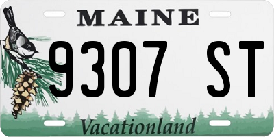 ME license plate 9307ST