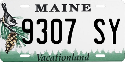 ME license plate 9307SY