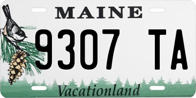 ME license plate 9307TA