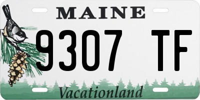 ME license plate 9307TF