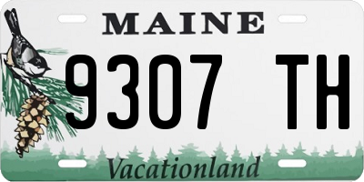 ME license plate 9307TH