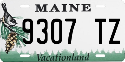 ME license plate 9307TZ