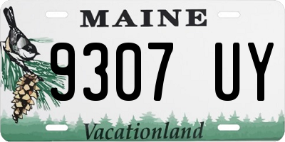 ME license plate 9307UY