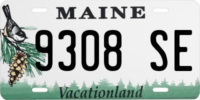 ME license plate 9308SE