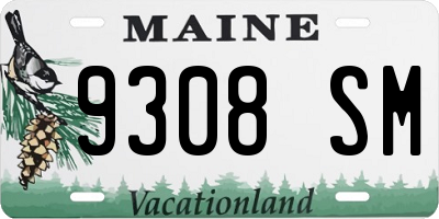 ME license plate 9308SM