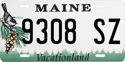 ME license plate 9308SZ