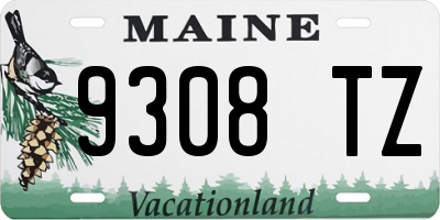 ME license plate 9308TZ