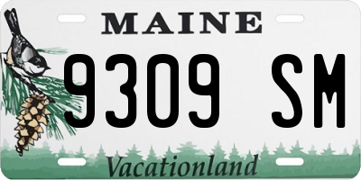 ME license plate 9309SM