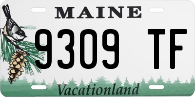 ME license plate 9309TF
