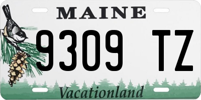 ME license plate 9309TZ
