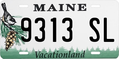 ME license plate 9313SL