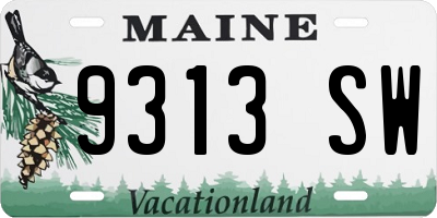 ME license plate 9313SW