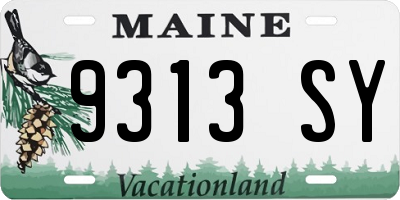 ME license plate 9313SY