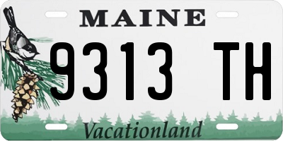 ME license plate 9313TH