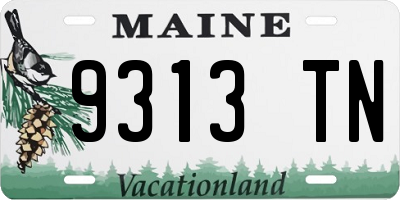ME license plate 9313TN