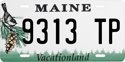 ME license plate 9313TP
