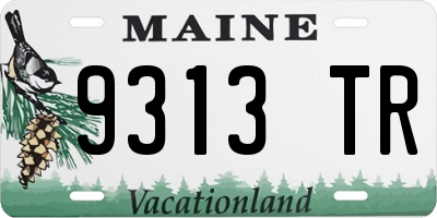 ME license plate 9313TR