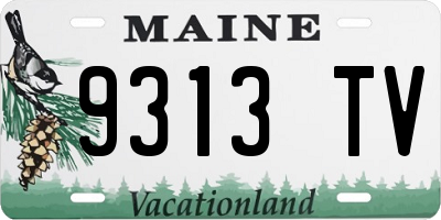ME license plate 9313TV