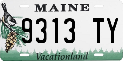 ME license plate 9313TY