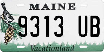 ME license plate 9313UB