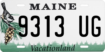 ME license plate 9313UG