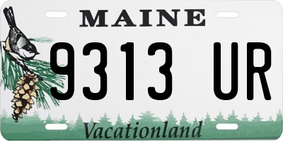 ME license plate 9313UR
