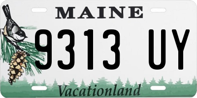 ME license plate 9313UY