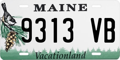 ME license plate 9313VB