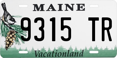 ME license plate 9315TR