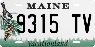 ME license plate 9315TV