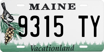 ME license plate 9315TY