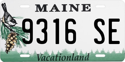 ME license plate 9316SE