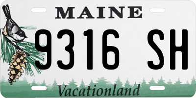 ME license plate 9316SH