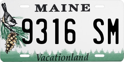 ME license plate 9316SM