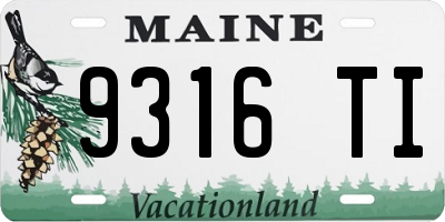 ME license plate 9316TI