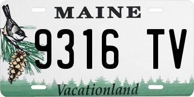 ME license plate 9316TV
