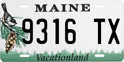 ME license plate 9316TX