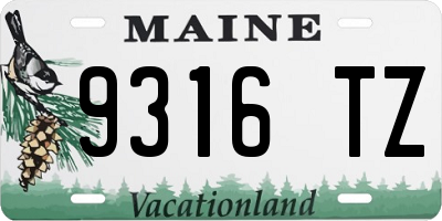 ME license plate 9316TZ
