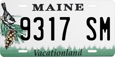 ME license plate 9317SM