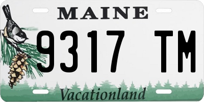 ME license plate 9317TM