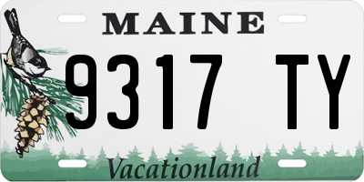 ME license plate 9317TY