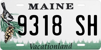ME license plate 9318SH