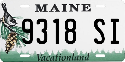 ME license plate 9318SI
