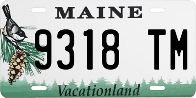 ME license plate 9318TM