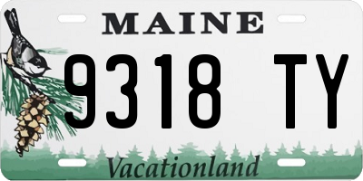ME license plate 9318TY
