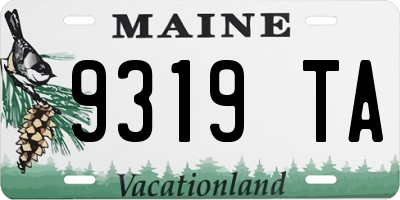 ME license plate 9319TA