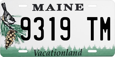 ME license plate 9319TM