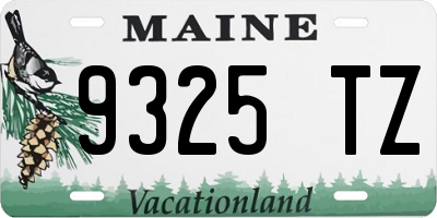 ME license plate 9325TZ
