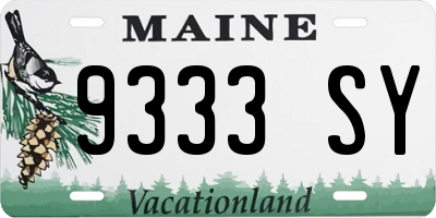 ME license plate 9333SY