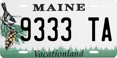 ME license plate 9333TA